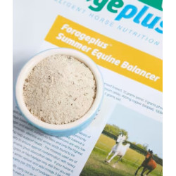 Summer Equine Balancer