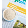 Summer Equine Balancer