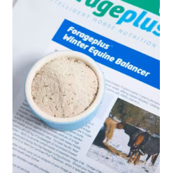 Winter Equine Balancer