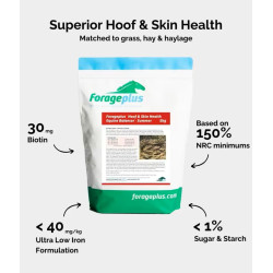 Hoof & Skin Health Balancer | Summer