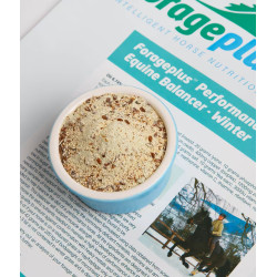 Performance Equine Balancer